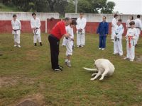Pulse para abrir