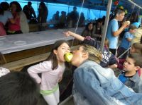 Pulse para abrir